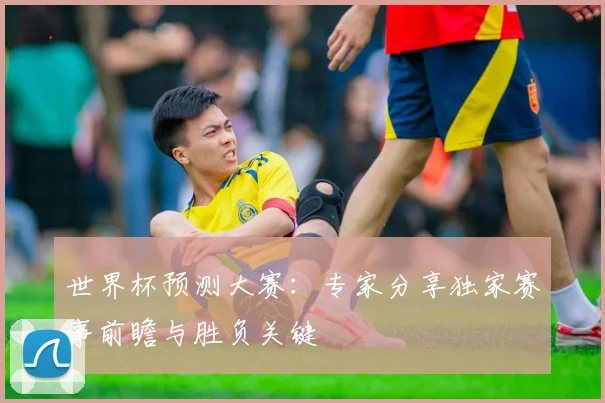 世界杯预测大赛：专家分享独家赛事前瞻与胜负关键