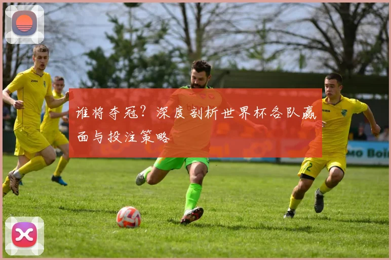 谁将夺冠？深度剖析世界杯各队赢面与投注策略