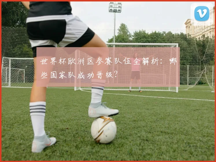 世界杯欧洲区参赛队伍全解析:哪些国家队成功晋级?